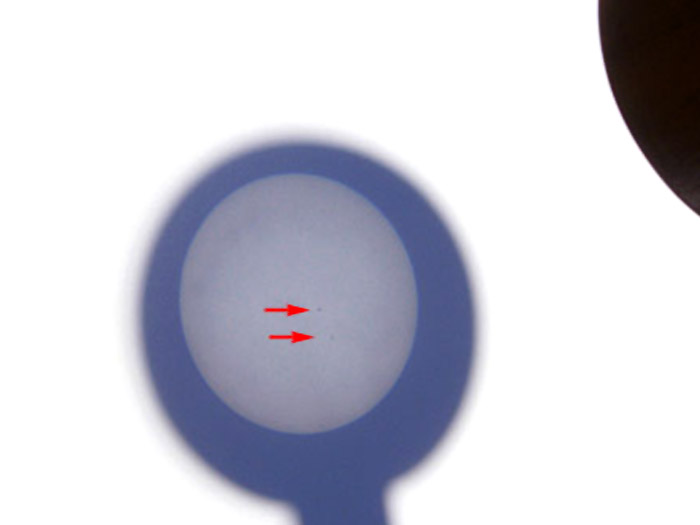 Il Sole col telescopio di Galileo